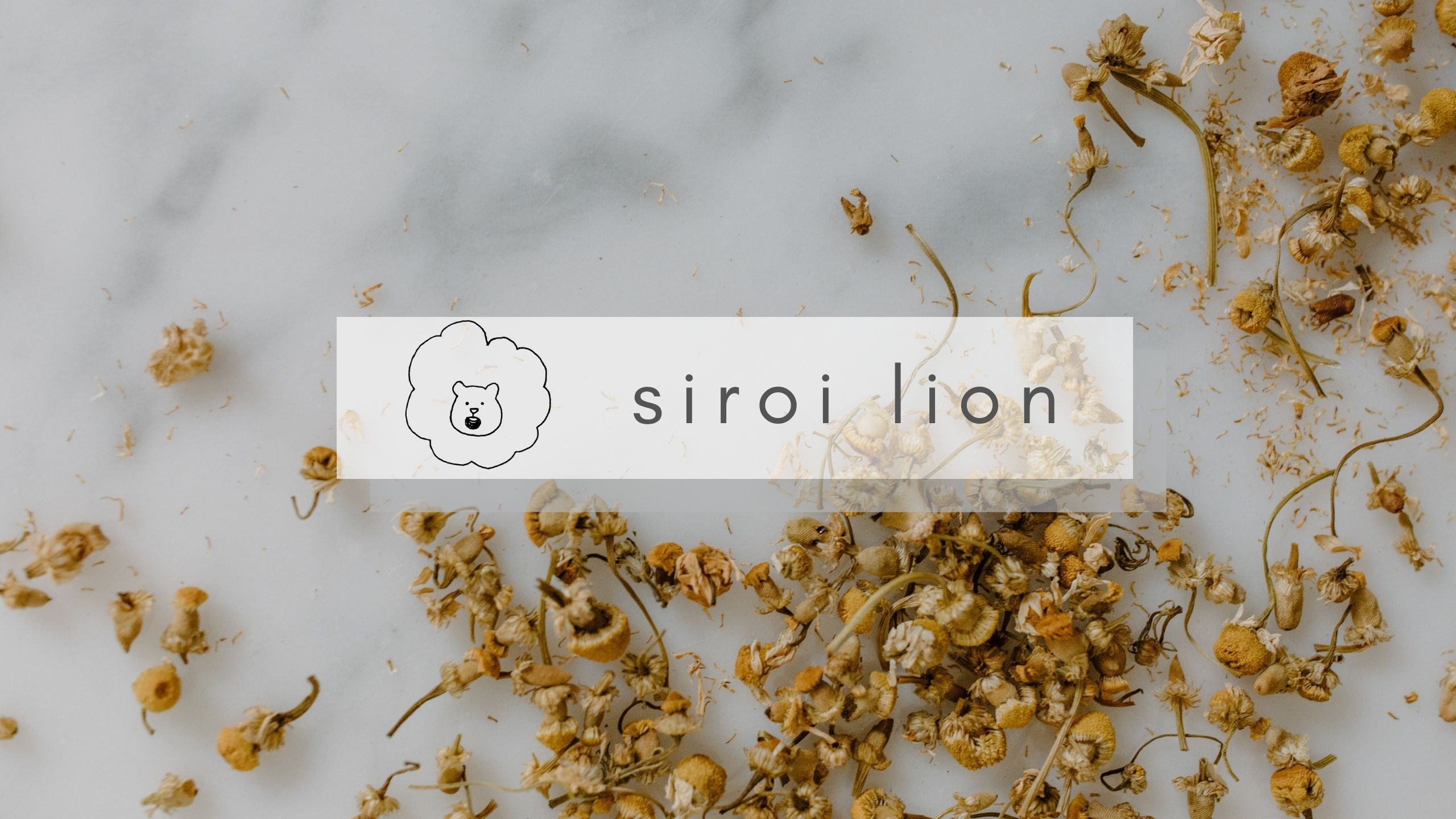 siroi lion